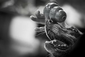 Spy Note V4 Android Rat