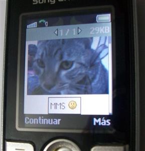 Spyware App for Android Free